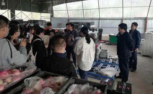 校地合作謀振興 河北科技大學(xué)電商專業(yè)與李保國干部學(xué)院共促漿水蘋果產(chǎn)業(yè)升級(jí)