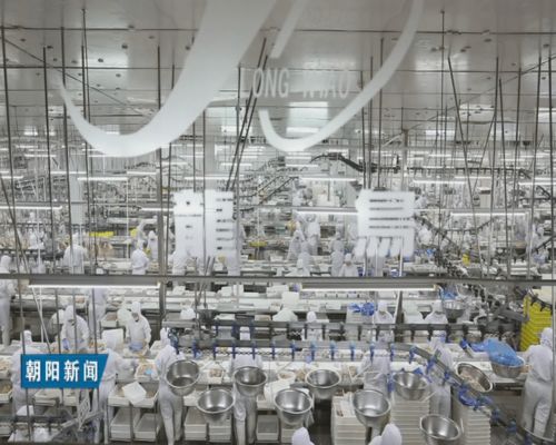 扛起新?lián)?dāng)展現(xiàn)新作為 全力推進(jìn)朝陽(yáng)經(jīng)濟(jì)社會(huì)實(shí)現(xiàn)高質(zhì)量發(fā)展