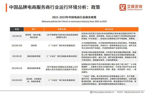 2023年中國品牌電商服務(wù)商行業(yè)洞察 艾媒咨詢研究報告深度解析